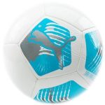 PUMA BALON SOCCER BIG CAT #5