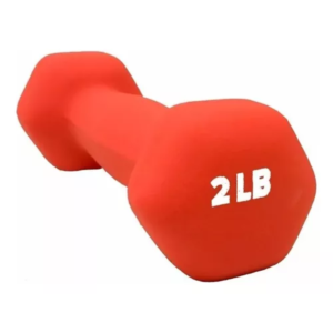 WILSON PIEZA DE MANCUERNA DE NEOPRENO 2 LB