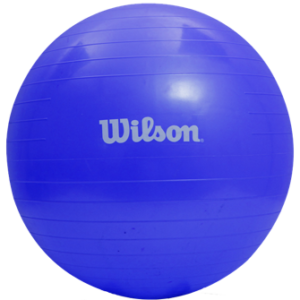 WILSON PELOTA PILATES  55 CM