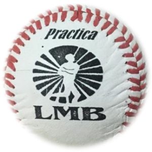 ESTRELLA PELOTA DE BEIS BOL PIEL DE RES DE PRACTICA